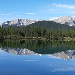 Meet your Posher, Mike